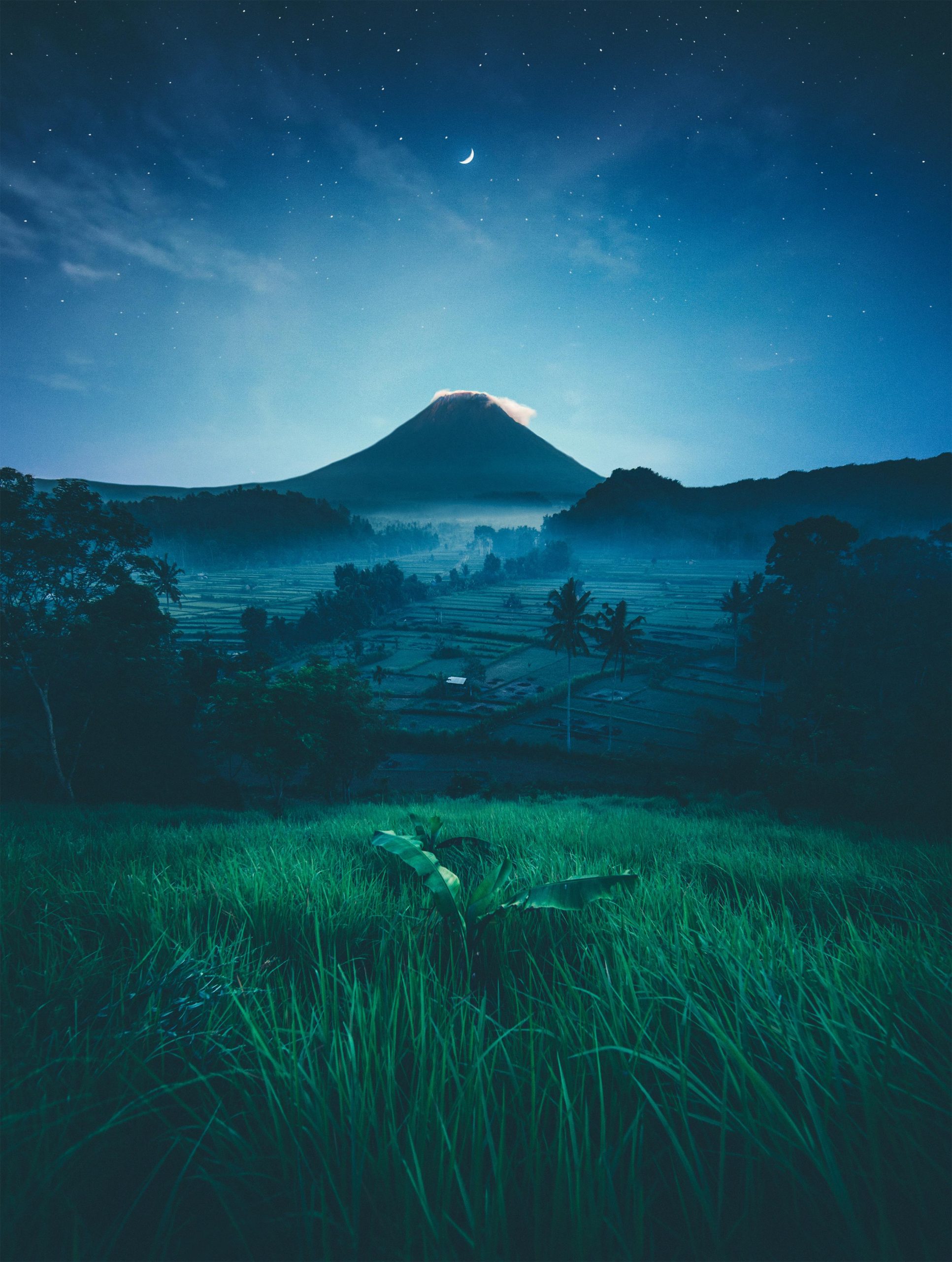 vue d'une clairière a la tombée de nuit avec une montagne en fond